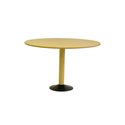 TABLE STANDARD PICTO 120