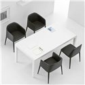 Fauteuil Laja