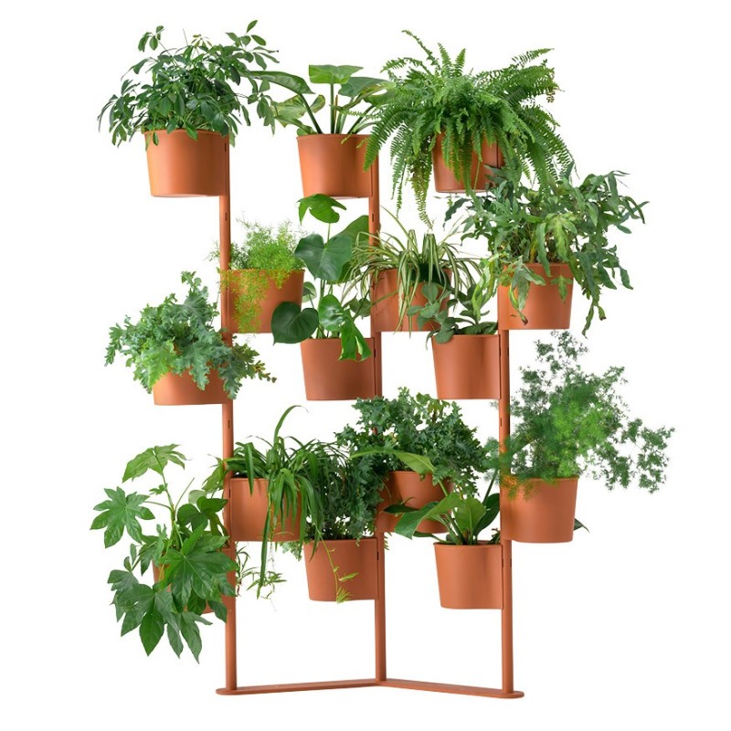 Support Plantes HEVEA triple