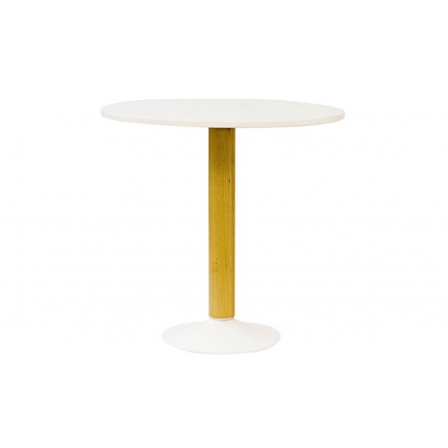 TABLE STANDARD PICTO 80